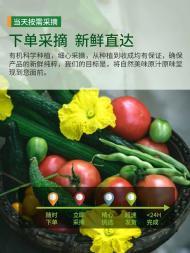 全深圳食堂承包与配送一体化服务 为公司与学校提供优质餐饮解决方案